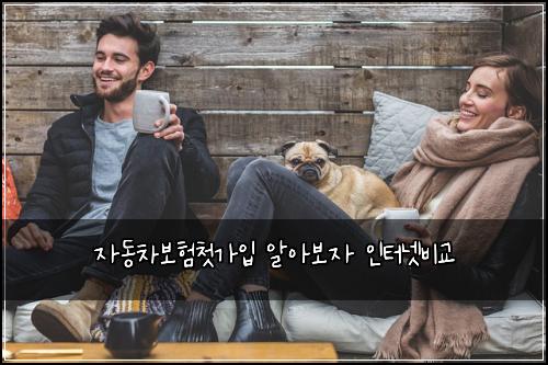 자동차보험첫가입 알아보자 인터넷비교
