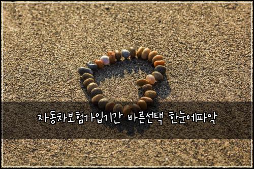 ์๋์ฐจ๋ณดํ๊ฐ์
๊ธฐ๊ฐ ๋ฐ๋ฅธ์ ํ ํ๋์ํ์