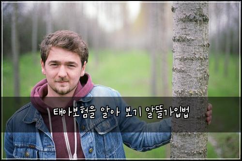 태아보험을 알아 보기 알뜰가입법