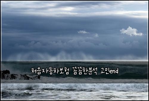 처음자동차보험 꼼꼼한분석  고민end