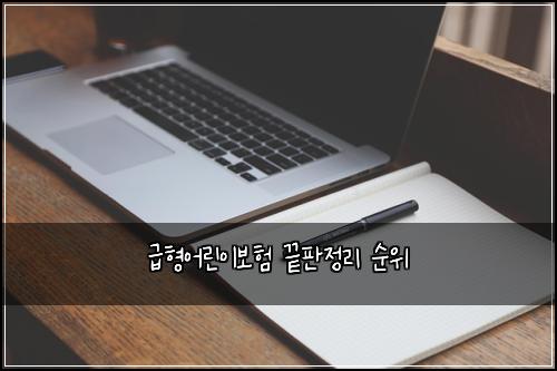 급형어린이보험 끝판정리  순위