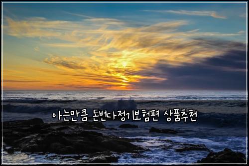 아는만큼 돈번다정기보험편 상품추천