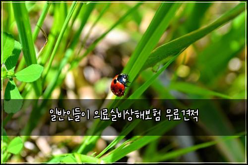 ์ผ๋ฐ์ธ๋ค์ด ์๋ฃ์ค๋น์ํด๋ณดํ ๋ฌด๋ฃ๊ฒฌ์ 