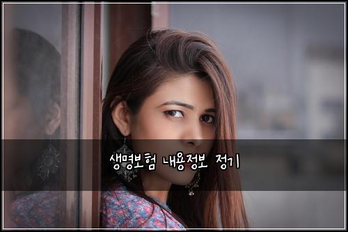 생명보험 내용정보  정기