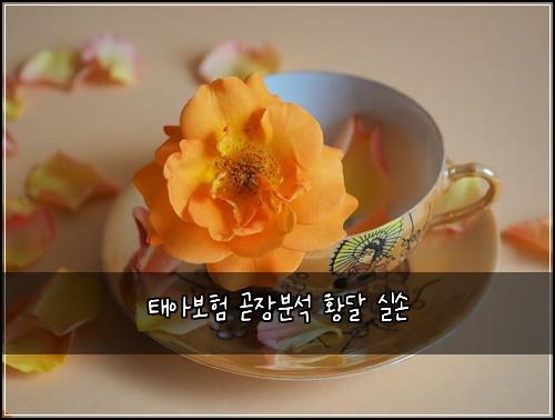 태아보험 곧장분석  황달 실손