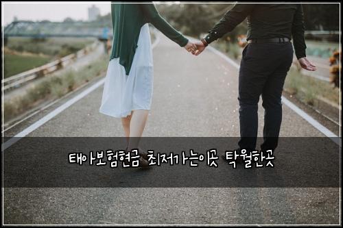 태아보험현금 최저가는이곳 탁월한곳