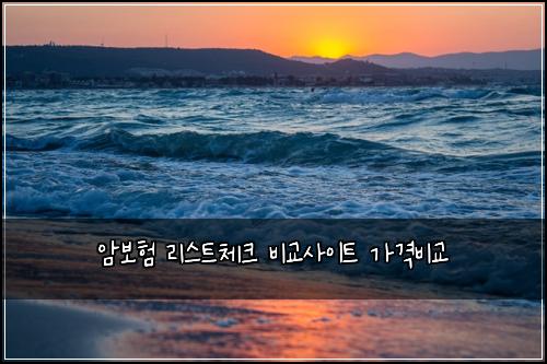 ์๋ณดํ ๋ฆฌ์คํธ์ฒดํฌ ๋น๊ต์ฌ์ดํธ ๊ฐ๊ฒฉ๋น๊ต