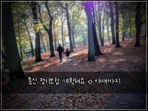 종신 정기보험 계획해요  ci 이때까지
