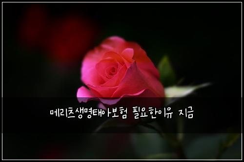 메리츠생명태아보험 필요한이유  지금