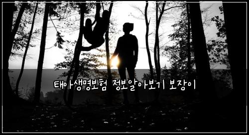 태아생명보험 정보알아보기  보장이