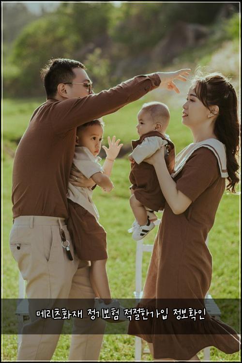 메리츠화재 정기보험 적절한가입  정보확인
