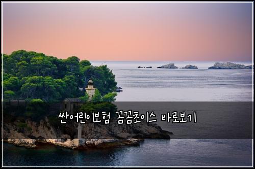 싼어린이보험 꼼꼼초이스  바로보기