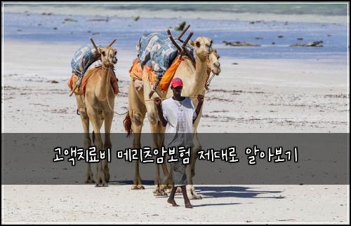 고액치료비 메리츠암보험 제대로 알아보기
