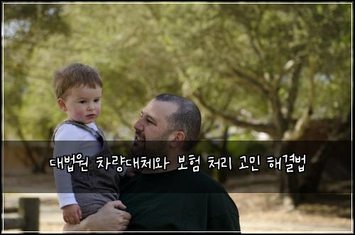 대법원 차량대체와 보험 처리 고민 해결법