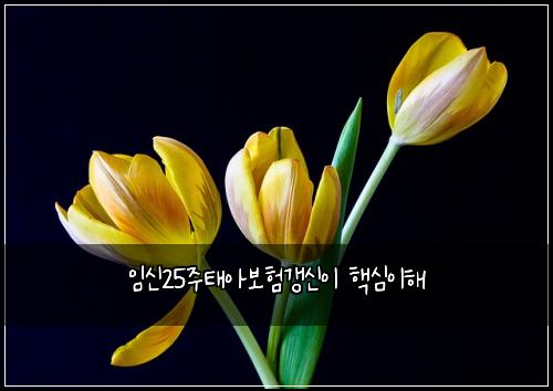 ์์ 25์ฃผํ์๋ณดํ๊ฐฑ์ ์ด ํต์ฌ์ดํด