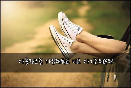 자동차보험 가입해둬요  비교 자기신체손해