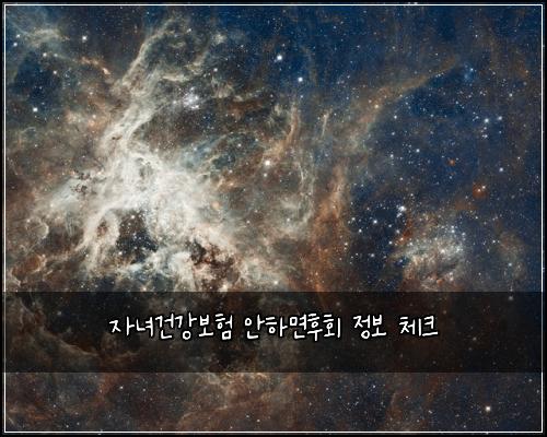 자녀건강보험 안하면후회  정보 체크