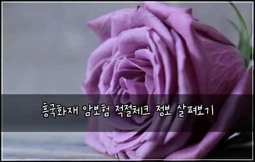 흥국화재 암보험 적절체크  정보 살펴보기