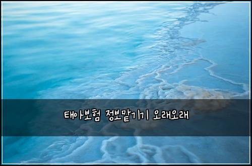 태아보험 정보맡기기  오래오래