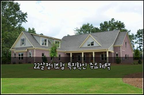 22살정기보험 특징확인  주요혜택