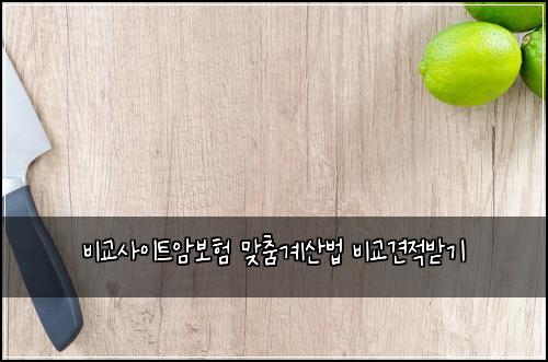 비교사이트암보험 맞춤계산법  비교견적받기