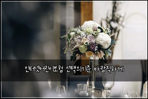 인터넷어린이보험 선택의기준  바람직하게