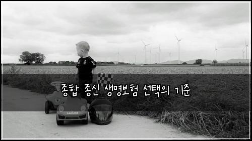 종합 종신 생명보험 선택의 기준