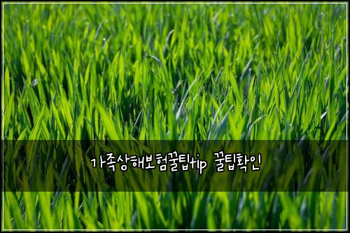๊ฐ์กฑ์ํด๋ณดํ๊ฟํtip ๊ฟํํ์ธ