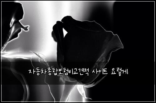 자동차종합보험비교견적 사이트 요렇게