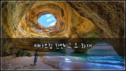 태아보험 한번비교  요 화재