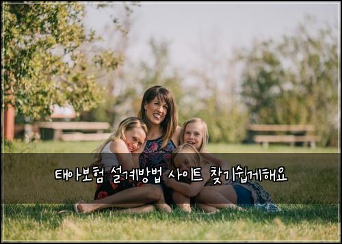 태아보험 설계방법  사이트 찾기쉽게해요