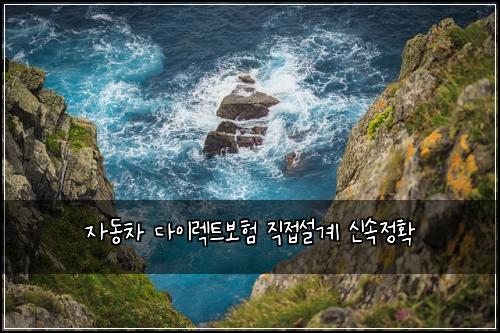 자동차 다이렉트보험 직접설계  신속정확