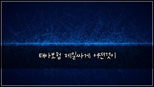 태아보험 제일싸게  어떤것이