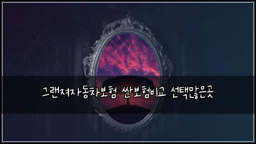 그랜져자동차보험 싼보험비교 선택많은곳