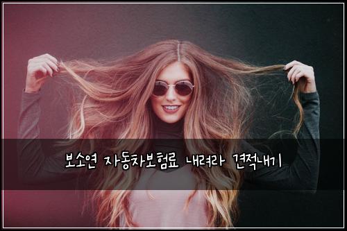 보소연 자동차보험료 내려라 견적내기