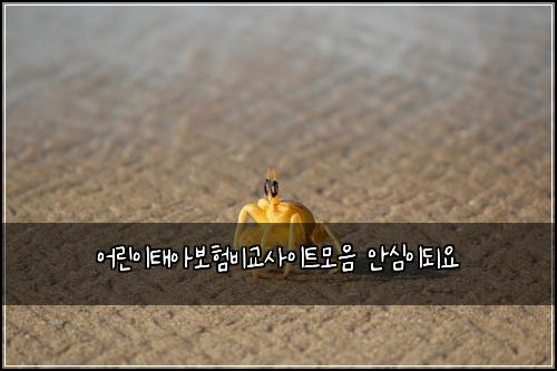 ์ด๋ฆฐ์ดํ์๋ณดํ๋น๊ต์ฌ์ดํธ๋ชจ์ ์์ฌ์ด๋์