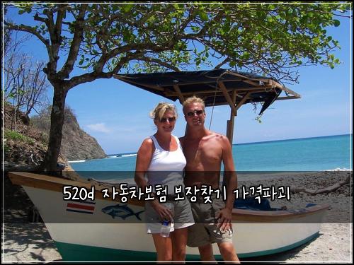 520d 자동차보험 보장찾기  가격파괴