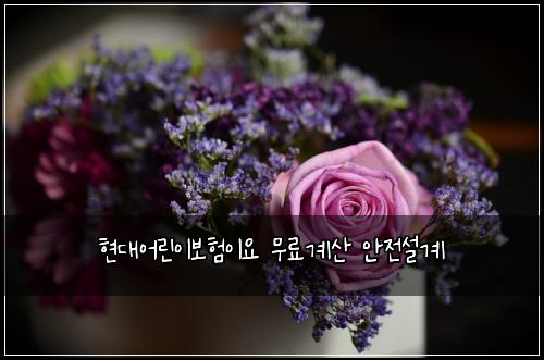 ํ๋์ด๋ฆฐ์ด๋ณดํ์ด์ ๋ฌด๋ฃ๊ณ์ฐ ์์ ์ค๊ณ
