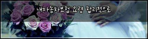 내자동차보험 요령  합리적으로
