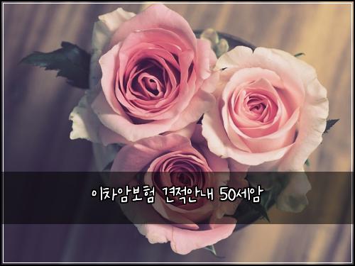 ์ด์ฐจ์๋ณดํ ๊ฒฌ์ ์๋ด 50์ธ์