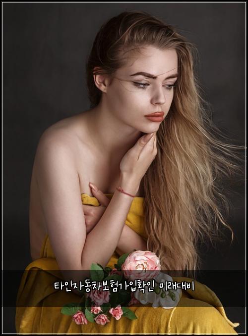 타인자동차보험가입확인 미래대비