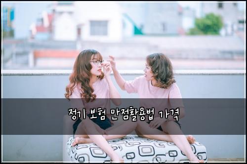 정기 보험 만점활용법  가격