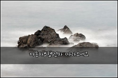 자동차보험5년차 따라오세요