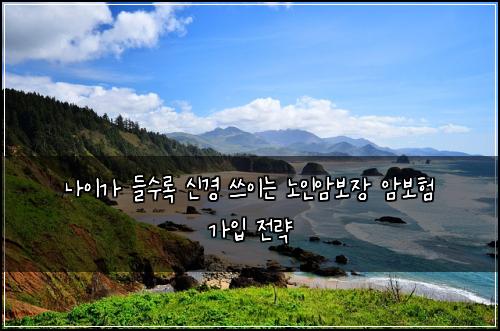 나이가 들수록 신경 쓰이는 노인암보장 암보험 가입 전략
