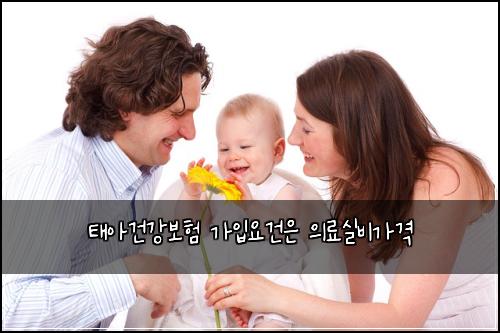 태아건강보험 가입요건은  의료실비가격