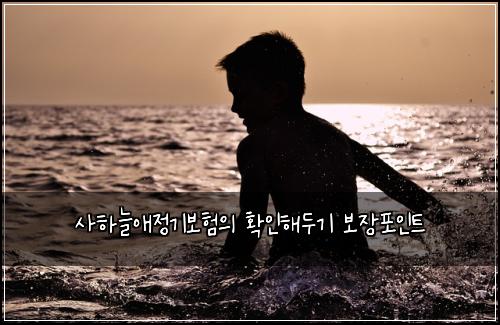사하늘애정기보험의 확인해두기 보장포인트