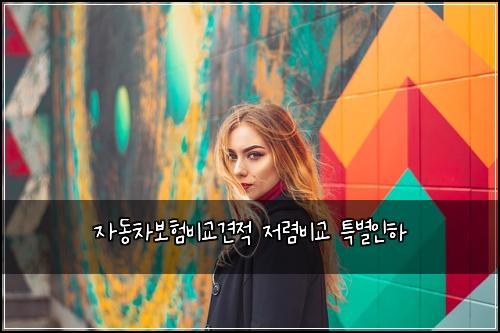 자동차보험비교견적 저렴비교 특별인하