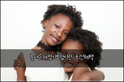 롯데손해정기보험이란 최신혜택