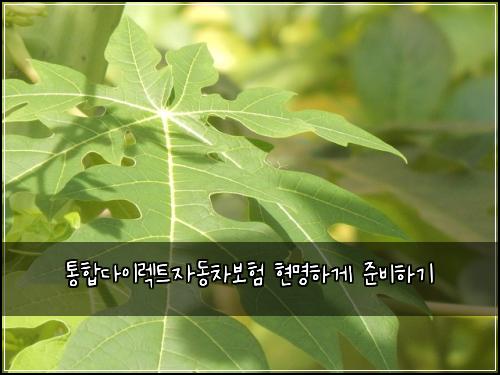 통합다이렉트자동차보험 현명하게 준비하기
