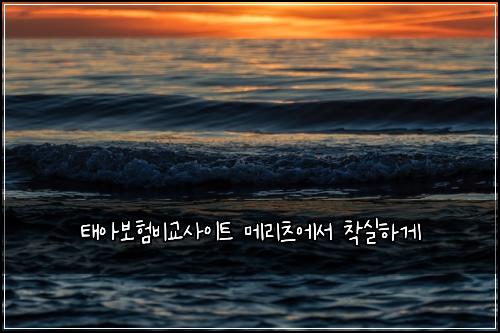 태아보험비교사이트 메리츠에서 착실하게